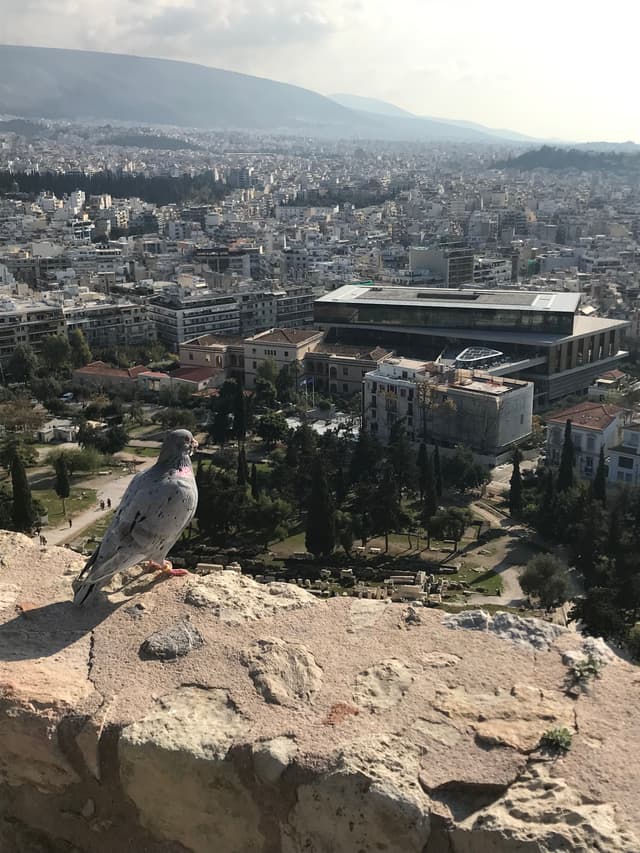 photo-26