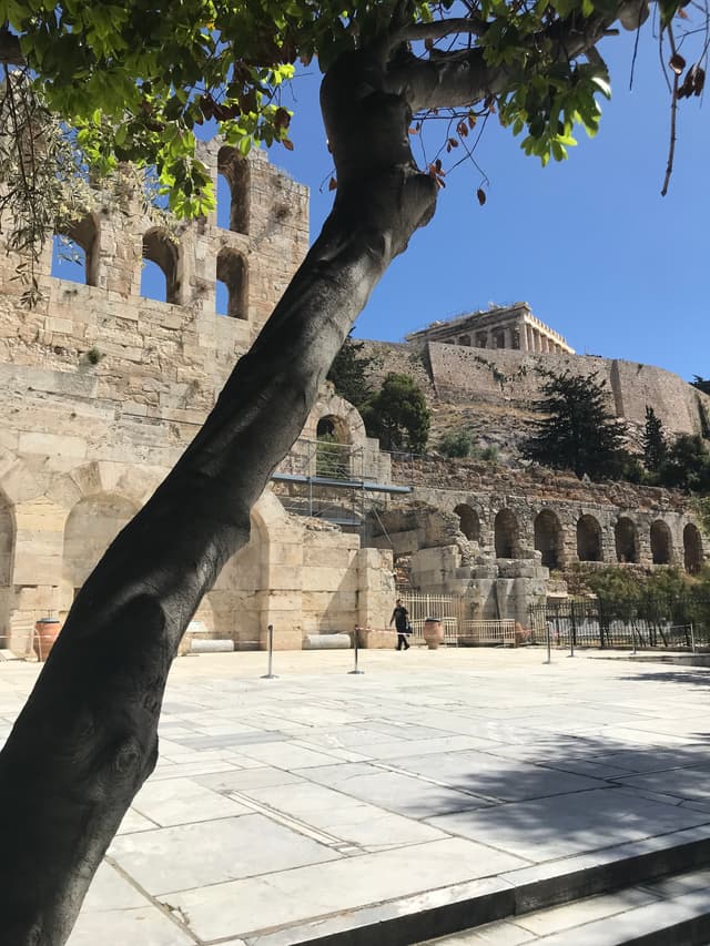 photo-6